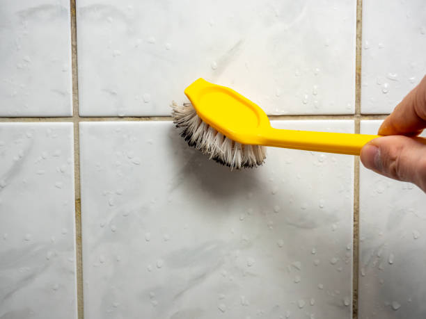 Best Attic Mold Removal  in Bainbridge Island, WA