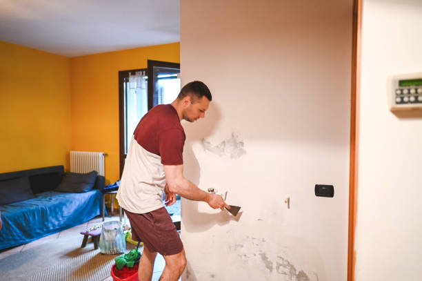 Best Mold Removal Near Me  in Bainbridge Island, WA